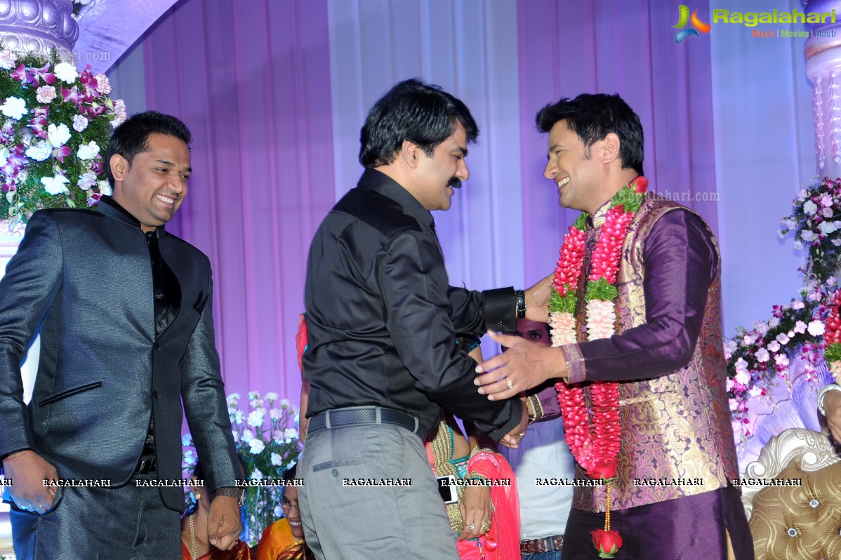 Raja Hebel-Amritha Regina Vincent Wedding Reception