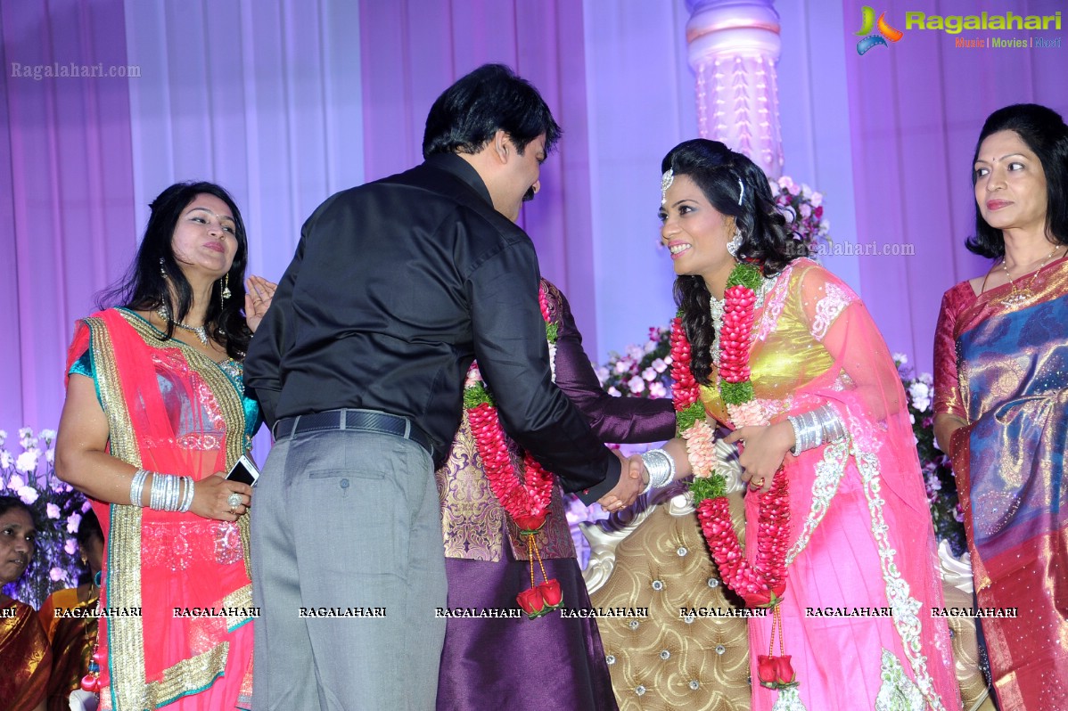 Raja Hebel-Amritha Regina Vincent Wedding Reception