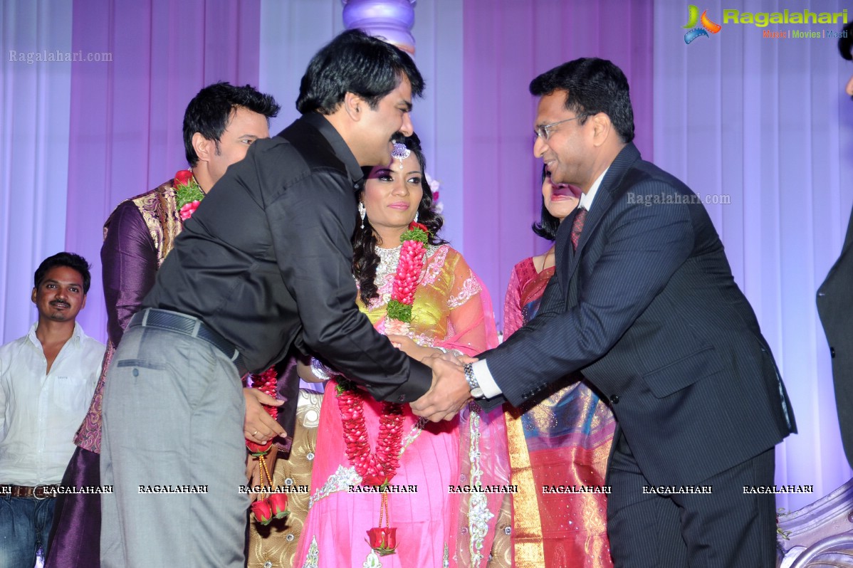 Raja Hebel-Amritha Regina Vincent Wedding Reception