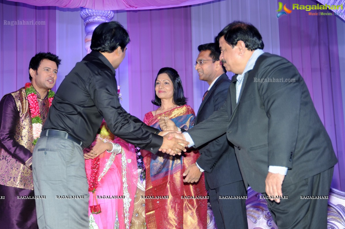 Raja Hebel-Amritha Regina Vincent Wedding Reception