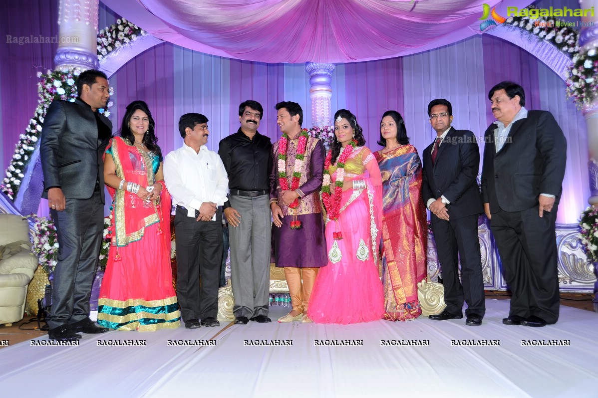 Raja Hebel-Amritha Regina Vincent Wedding Reception