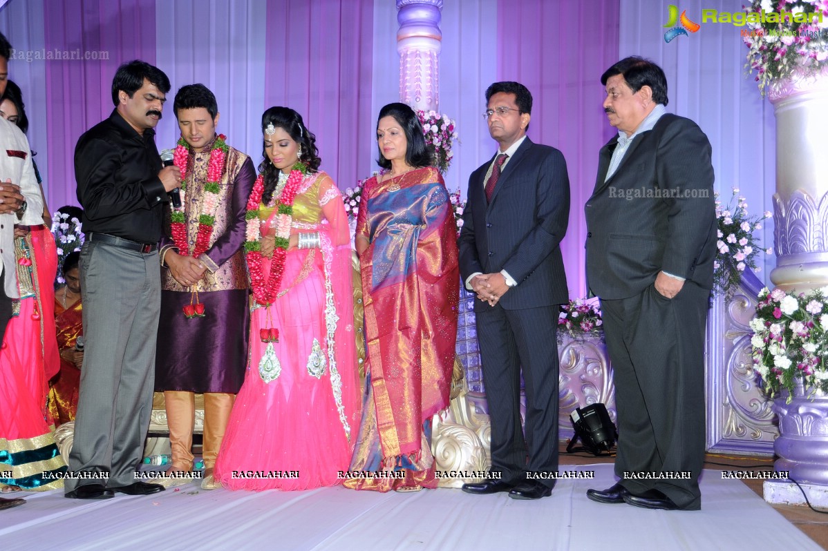 Raja Hebel-Amritha Regina Vincent Wedding Reception