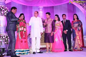 Hero Raja Wedding Reception