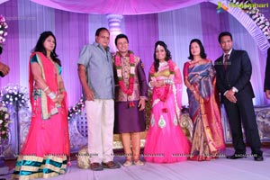 Hero Raja Wedding Reception