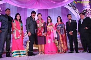 Hero Raja Wedding Reception