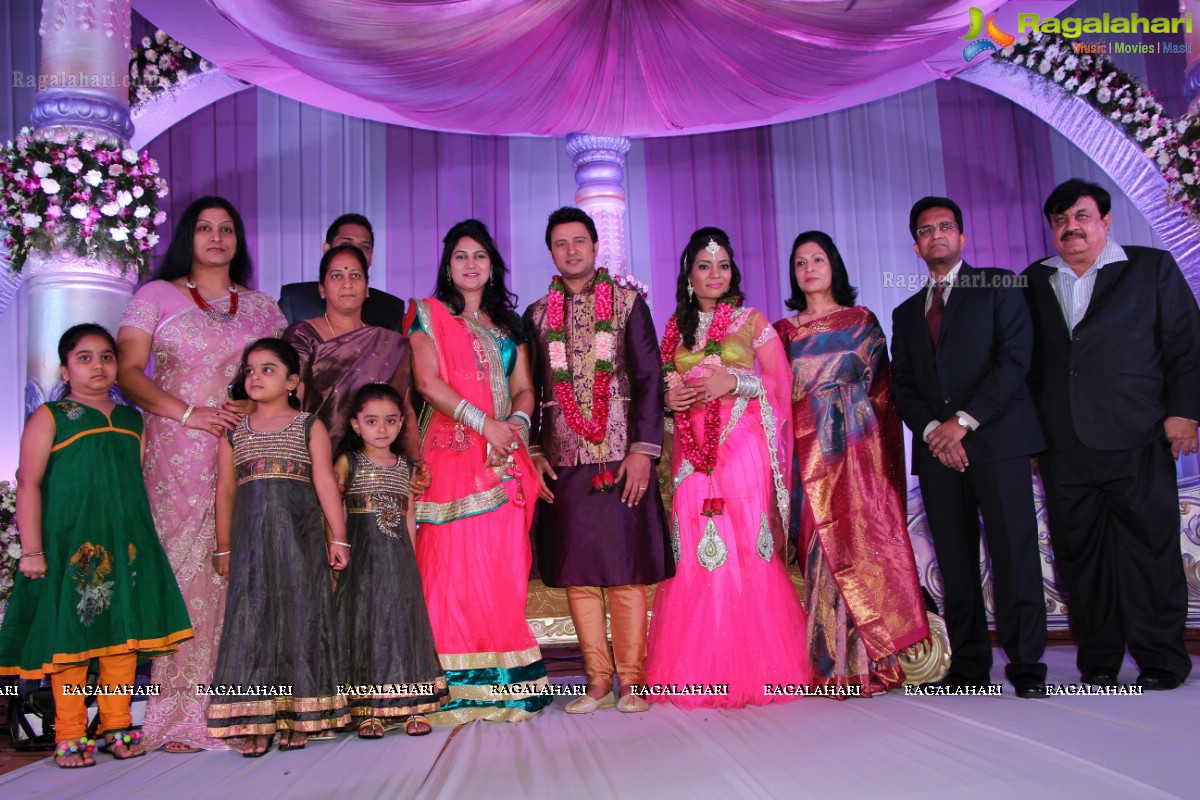 Raja Hebel-Amritha Regina Vincent Wedding Reception