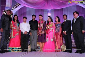 Hero Raja Wedding Reception