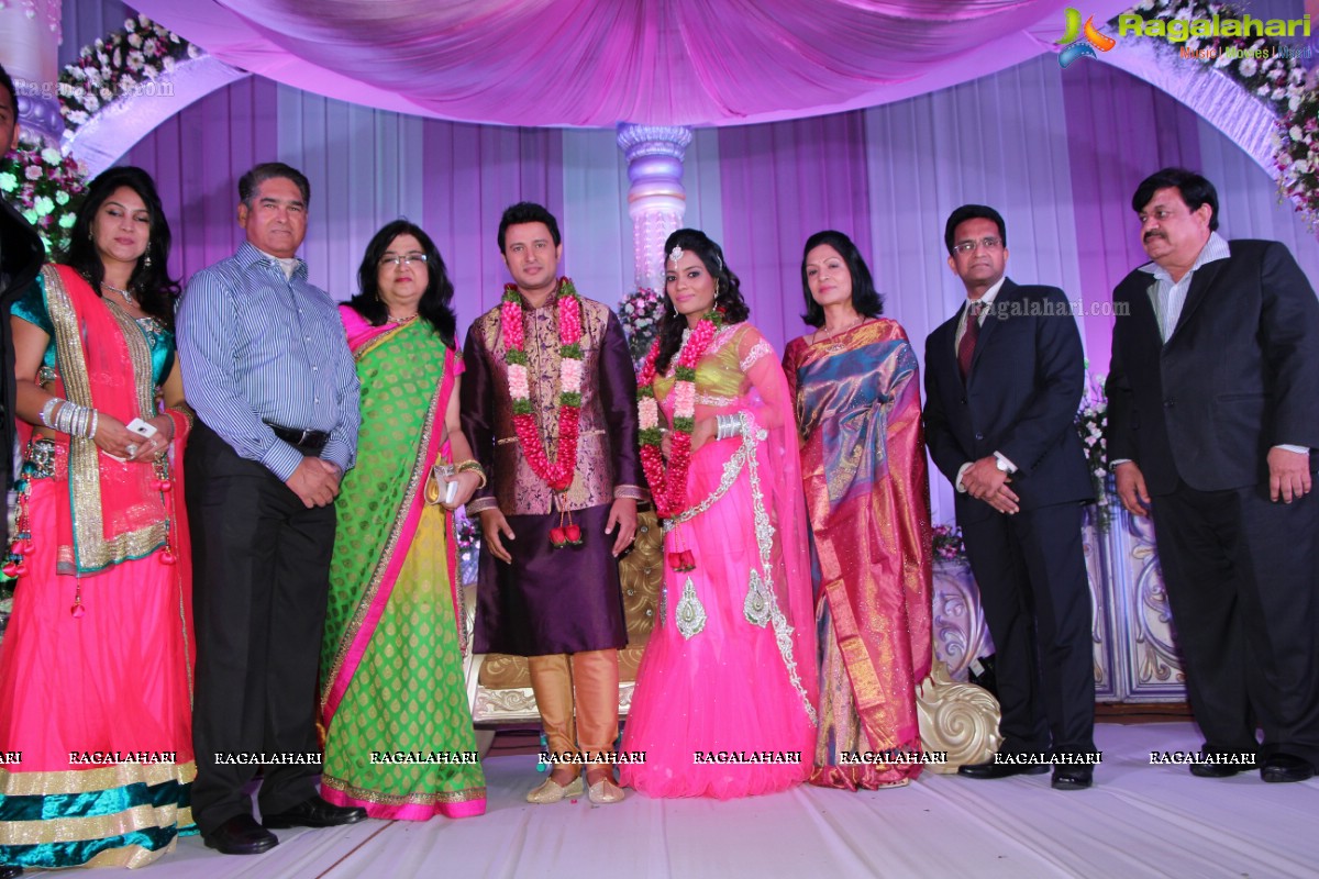 Raja Hebel-Amritha Regina Vincent Wedding Reception