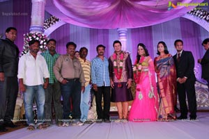 Hero Raja Wedding Reception