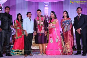 Hero Raja Wedding Reception