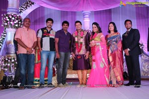 Hero Raja Wedding Reception