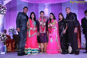 Hero Raja Wedding Reception