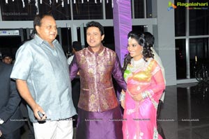 Hero Raja Wedding Reception