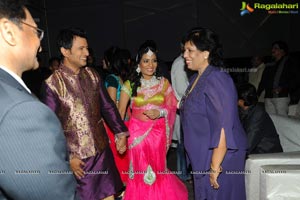 Hero Raja Wedding Reception