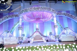 Hero Raja Wedding Reception