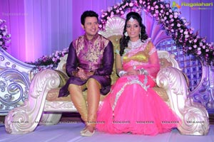 Hero Raja Wedding Reception