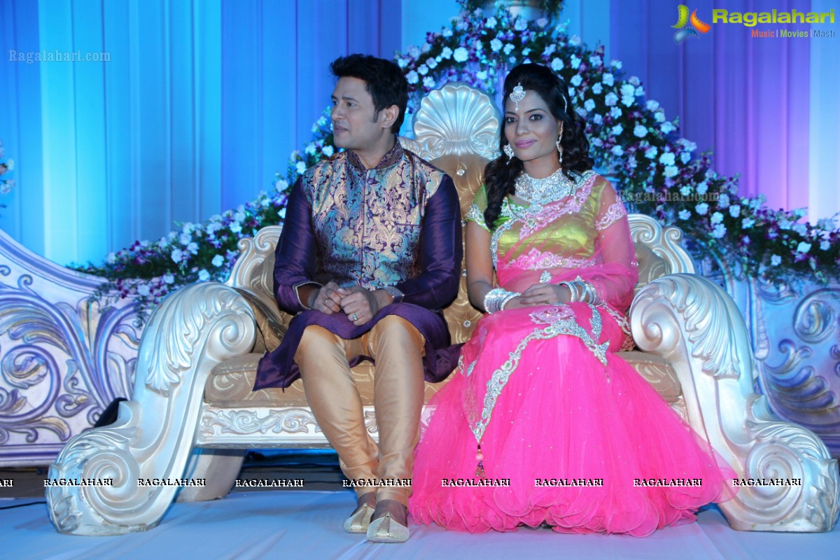 Raja Hebel-Amritha Regina Vincent Wedding Reception