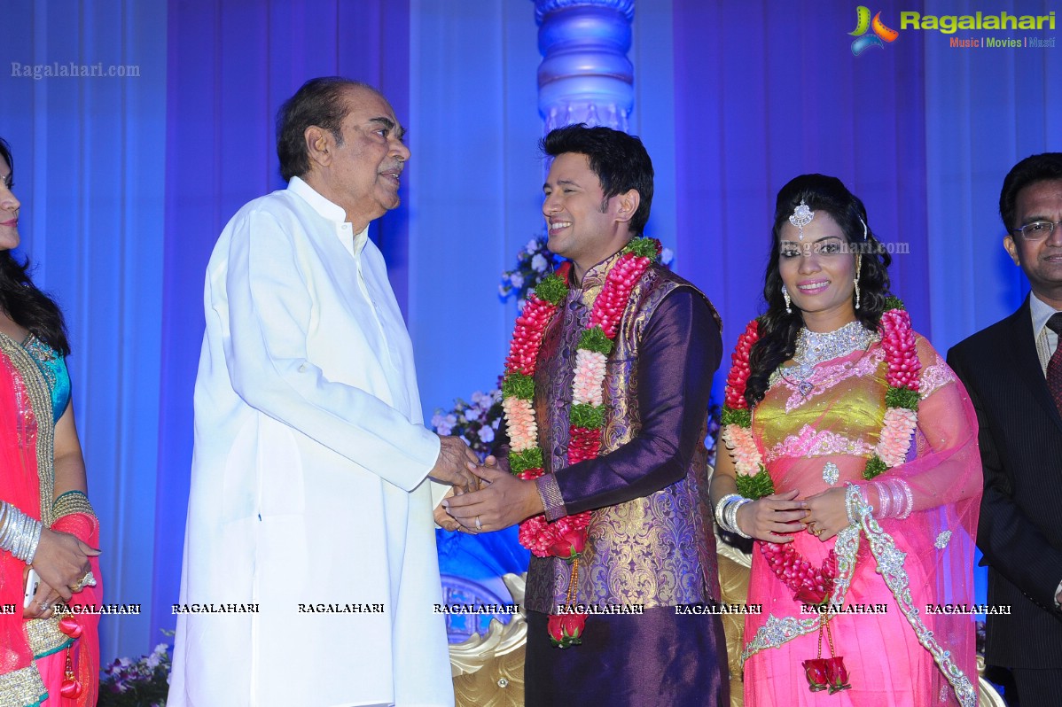 Raja Hebel-Amritha Regina Vincent Wedding Reception