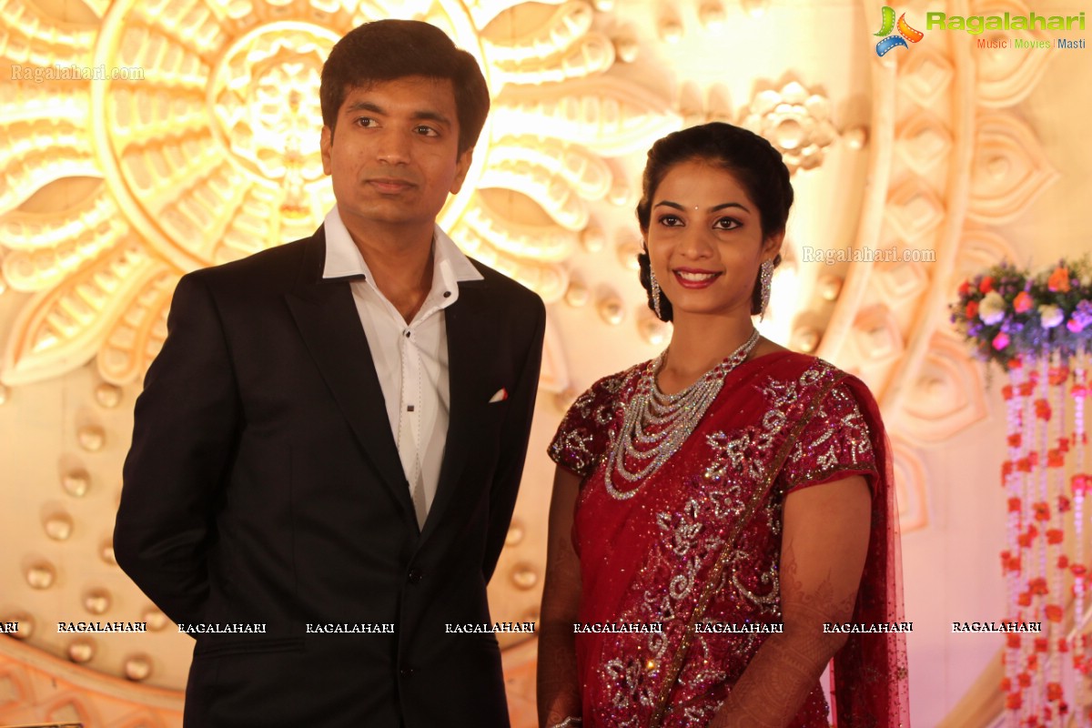 Pruthviraj-Madhuri Wedding Reception