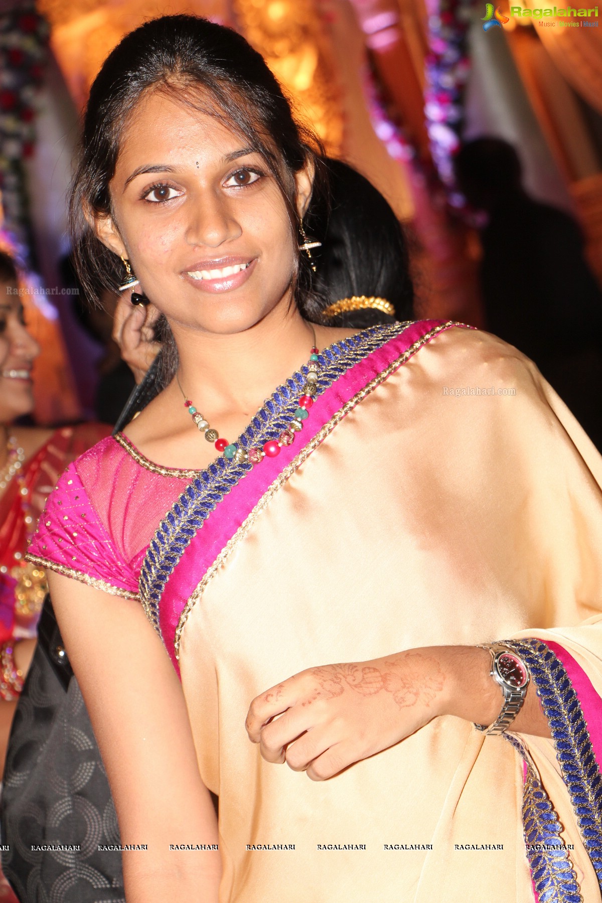 Pruthviraj-Madhuri Wedding Reception