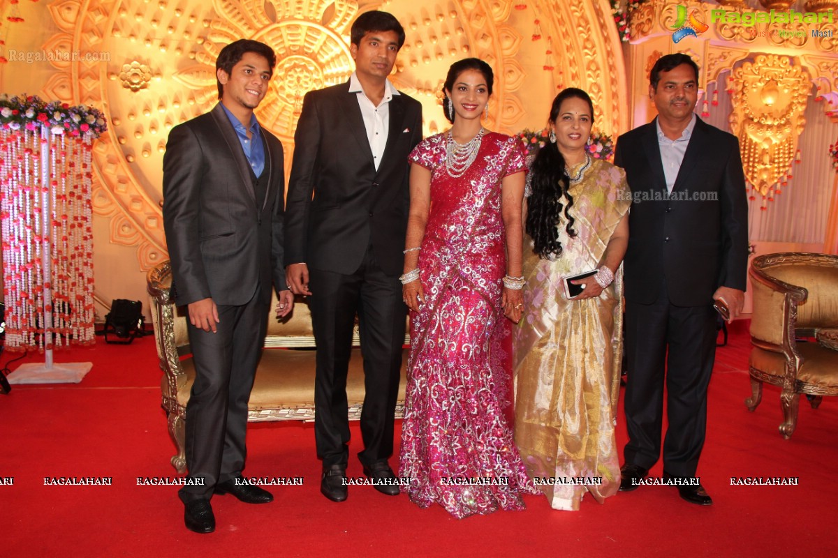 Pruthviraj-Madhuri Wedding Reception