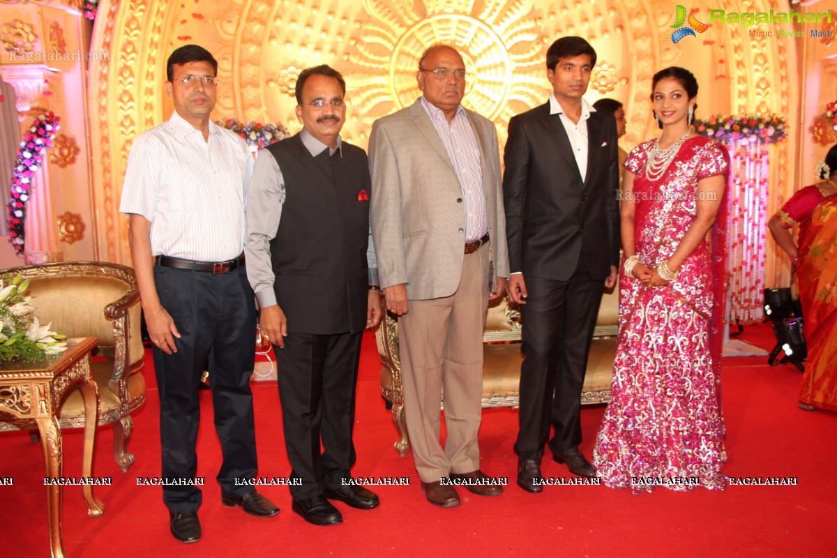 Pruthviraj-Madhuri Wedding Reception