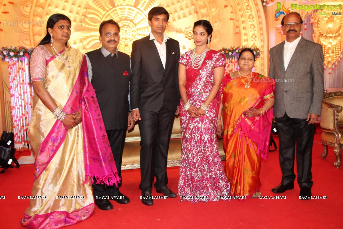 Pruthviraj-Madhuri Wedding Reception