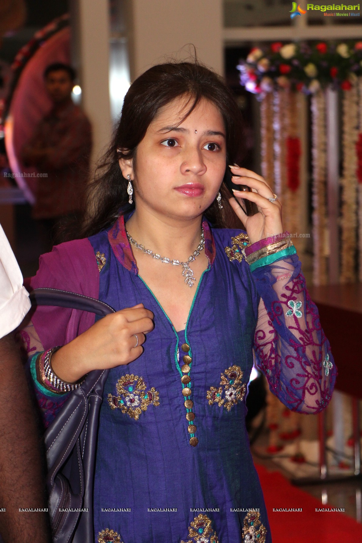 Pruthviraj-Madhuri Wedding Reception