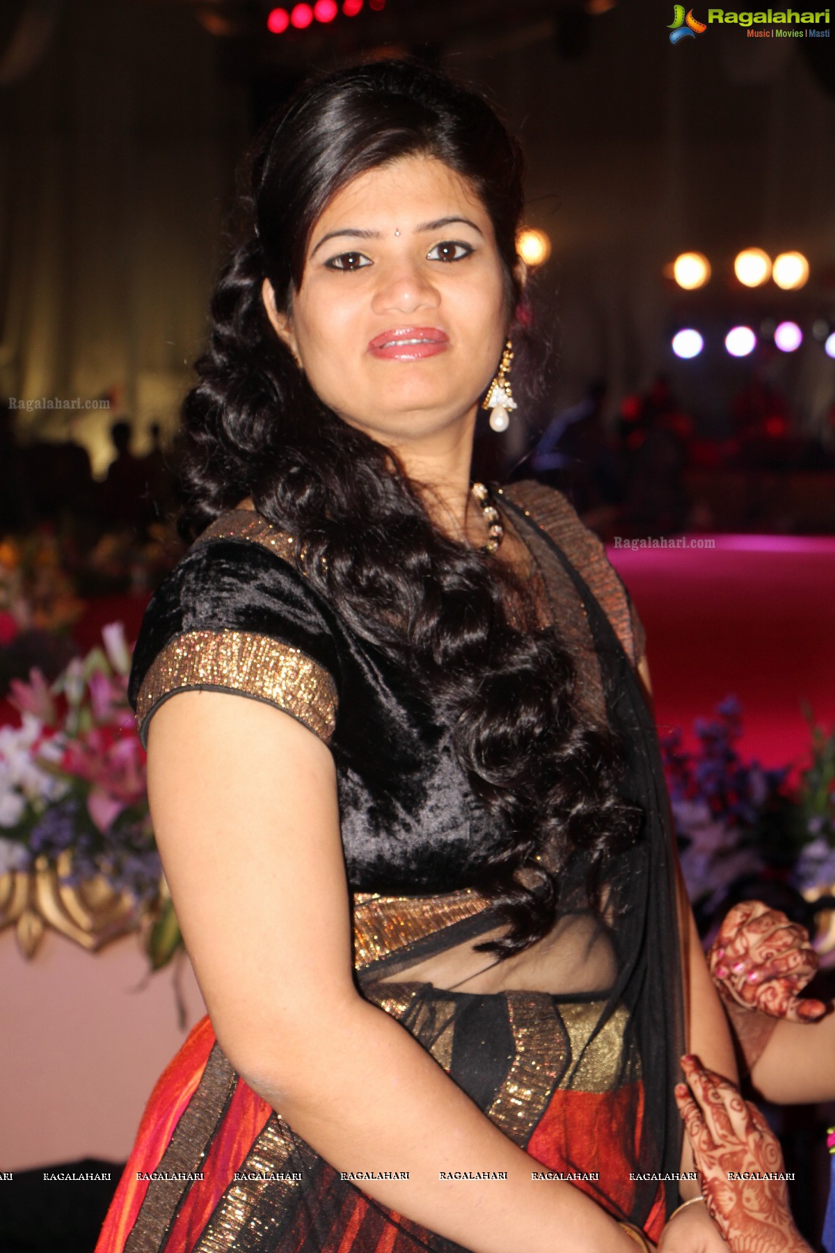 Pruthviraj-Madhuri Wedding Reception