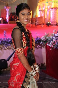 SMR Holding Pruthviraj Wedding Reception