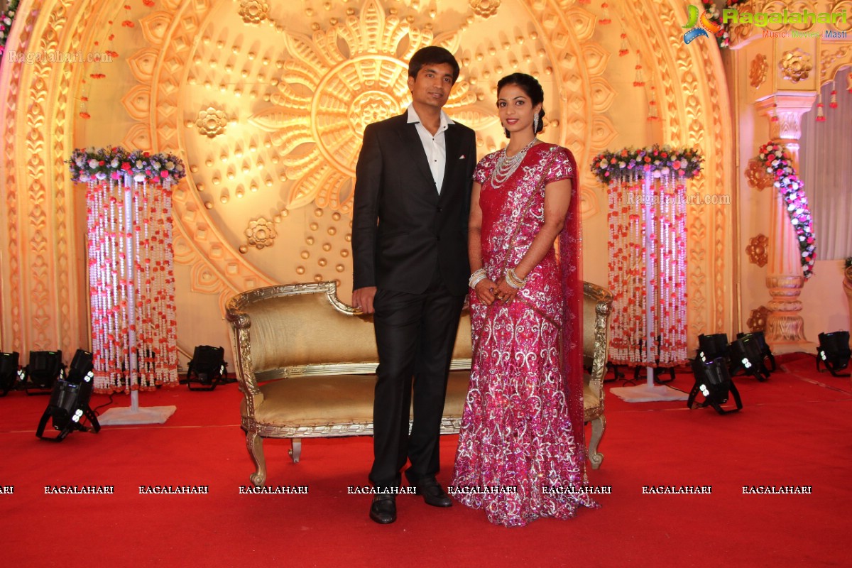 Pruthviraj-Madhuri Wedding Reception