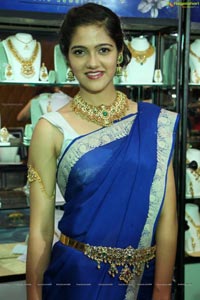 Vasundhara Wedding Jewellery Exhibition