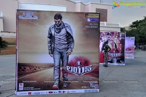 Lion Audio Release