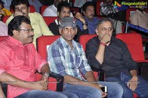 Lion Audio Release