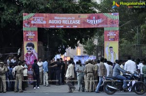 Lion Audio Release