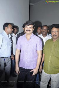 Lion Audio Release