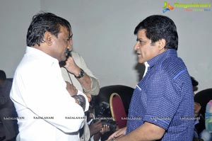 Lion Audio Release