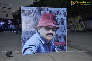 Lion Audio Release