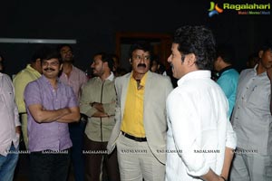 Lion Audio Release