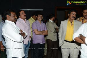 Lion Audio Release