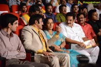 Lion Audio Release