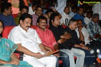 Lion Audio Release