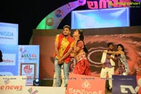 Lion Audio Release