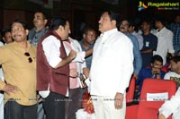 Lion Audio Release