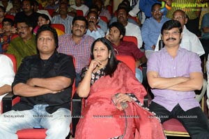 Lion Audio Release