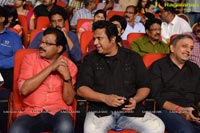 Lion Audio Release