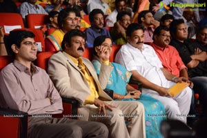 Lion Audio Release