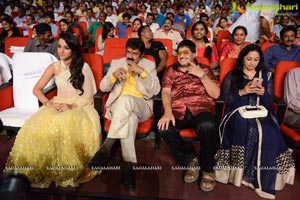 Lion Audio Release