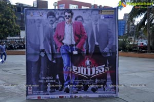 Lion Audio Release