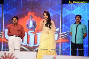 Lion Audio Release